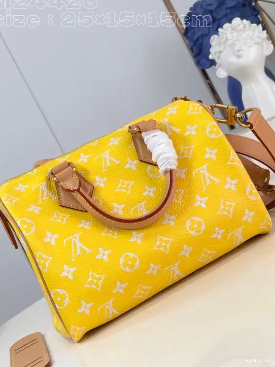 WIS VUITTON Speedy P9  Bandoulière LOUIS 25 0613
